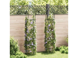 Vidaxl Arco De Jardim Torre, 2 Pcs