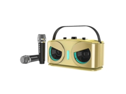 Caixa De Som Bluetooth Sd306plus Owl, Potente E Portátil, Com Microfones Duplos C Yunzii