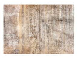 Papel de Parede ARTGEIST Golden Forest Space (441x315)