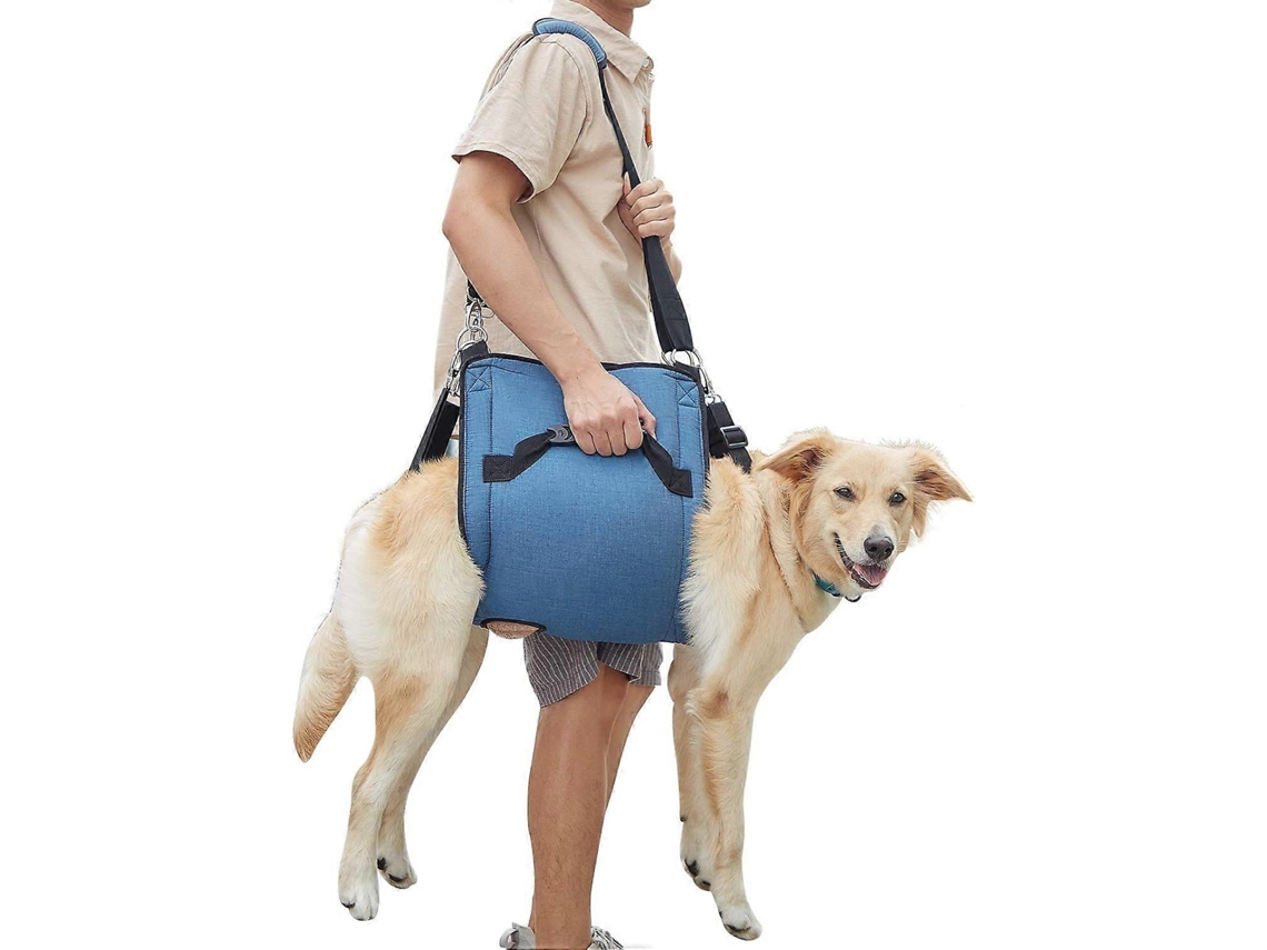 Mochila de Transporte para Cães, com Abertura para Patas AQUAFORGE