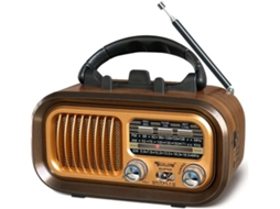 Rádio Portátil AM/FM/SW, Bateria 1200 mAh, Bluetooth, USB, YANYXR