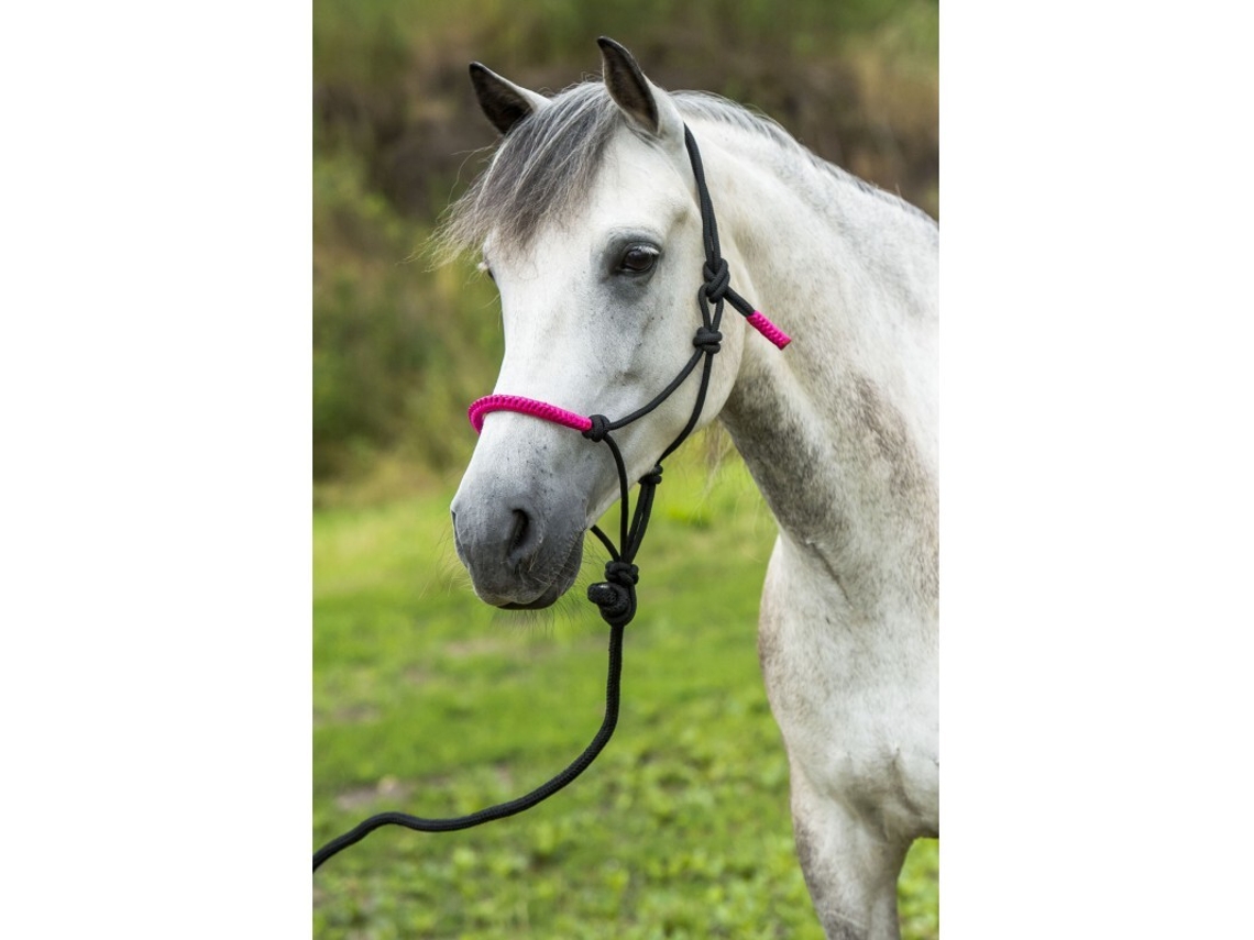 Cabresto para cavalos Norton Fun colour