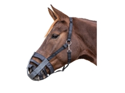 Focinho Castanho Ponywaldhausen