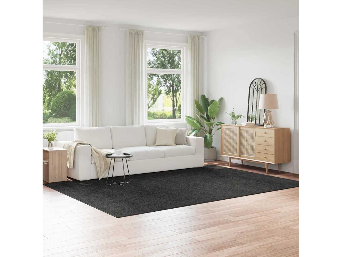 Vidaxl Tapete Shaggy Antiderrapante Cinzento-escuro 240 X 340 Cm Pp