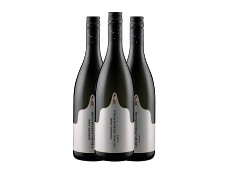 Vinho branco GEORG UND KATHARINA PREISINGER Goldberg Pinot Cinza Burgenland (0.75 L - 3 Unidades)