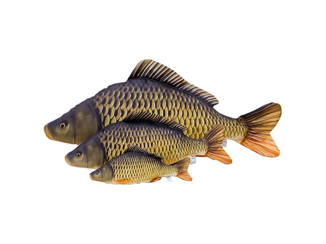 GABY The Common Carp Mini