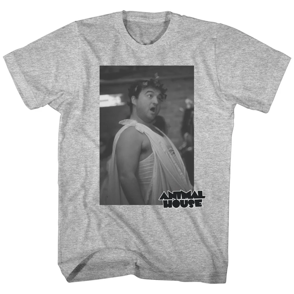 Unisex Adult T-shirt Rockinstone Animal House Movie Toga Photo Heather Gray Sizexxxl