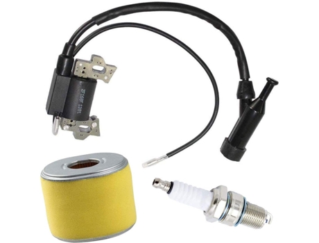 Compatível com o rotor do gerador do motor Honda GX120 GX160 GX200 4589693 30500-ZE1-073 Bobina de ignição ANMI