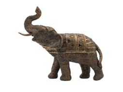 Elefante BY SIGRIS
