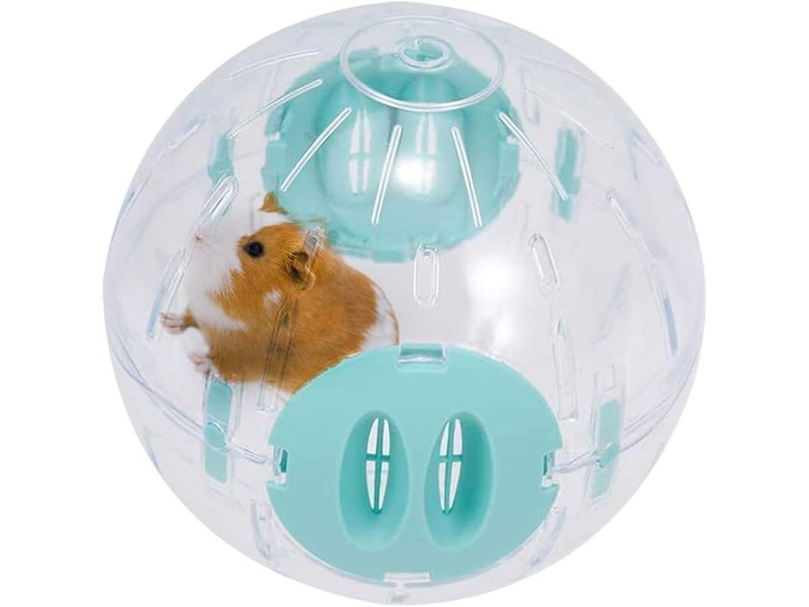 Roda De Exercício Para Hamsters De 16 Cm, Plástica Transparente, Instalação Fácil, Material Ecológico, Brinquedo Combinável