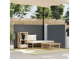 Vidaxl Toldo Lateral Retrátil 120x600 Cm Antracite