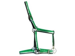 Tamanho de Potro com Nylon 2 Fivelas Muserola Prateado Foalmarjoman Distribucion