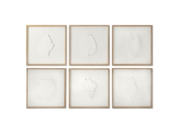 Pintura Dkd Home Decor Conchas Mediterrâneo 6 Unidades 50 X 2 X 50 Cm