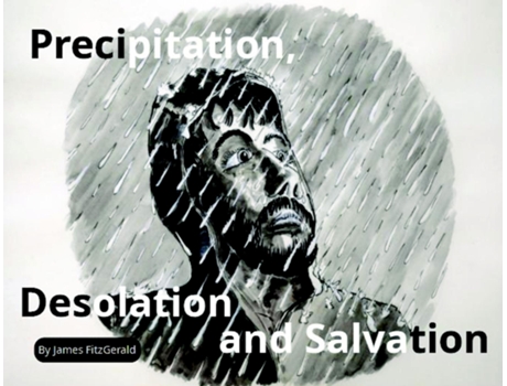 Livro Precipitation, Desolation And Salvation De Fitzgerald, James Et Al. (inglês)