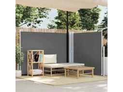 Vidaxl Toldo Lateral Retrátil 140x600 Cm Antracite