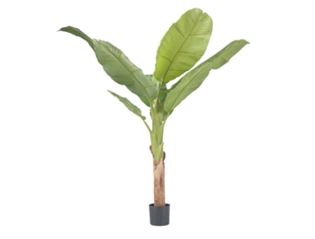 Plantas Artificial Plant In A Box Musa Conjunto De 1 Pote 15cm Altura 150cm