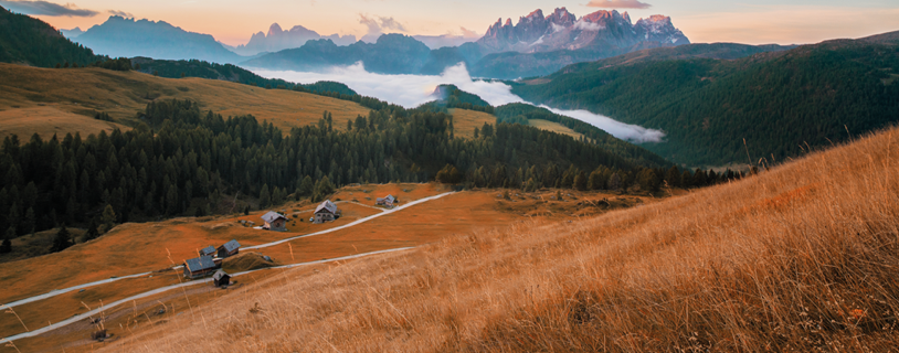 Passatempo Worten Close up