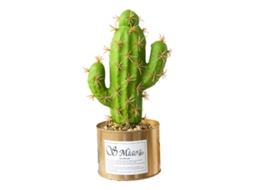 Planta de Simulação em Vaso Cacto Tropical Decoração Criativa para Casa Paisagem com Flores Artificiais RNEMITERY