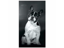 Toalha De Praia Microfibra Bulldog Francês
