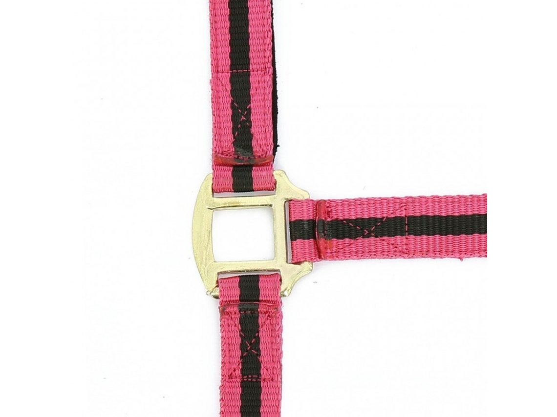 Cabresto para cavalos Norton Doublé cuir