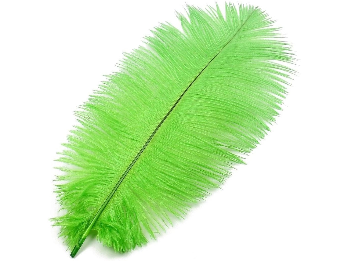 Avestruz Verde De 35a 40cm 14a 16 Polegadas Para Decoração Festa Casamento Id 9f2 300 42e A8d Ca5