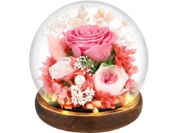 Rosa Eterna, Presente de Dia Dos Namorados para Mulheres, Presente de Natal para o Dia Das Mães BRILVIBERA