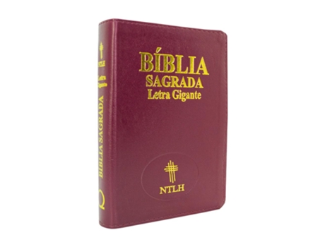 Livro Biblia Ntlh Letra Gigante Capa Luxo Com Indice Vinho Edifique De Diversos (português Do Brasil)