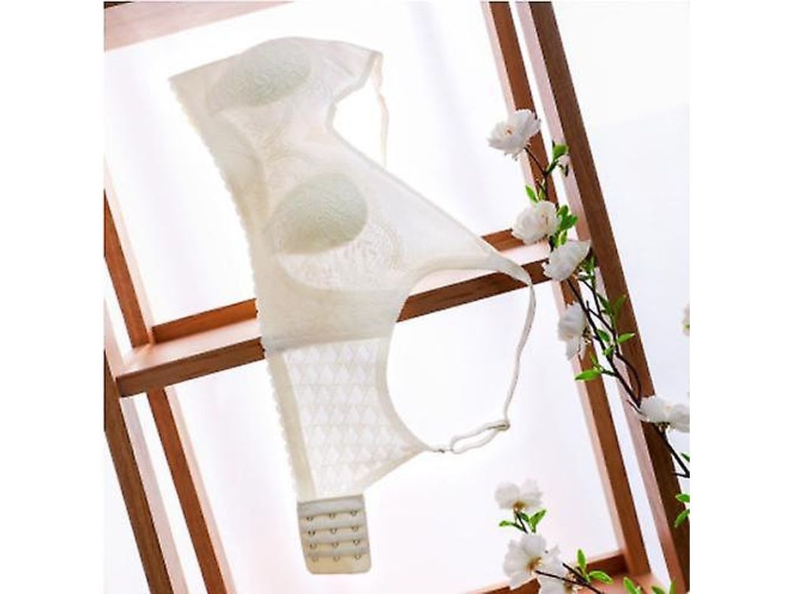 Sujetos De Conejo Transparentes Con Encaje Sexy Sin Aros De Acero Ligero Y Transpirable Para Soporte Suave Champagne
