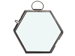 Quadro De Vidro Hexagonal Para Flor Seca E Espécime