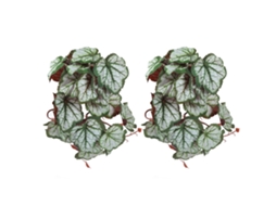 2pcs Planta Artificial Viva Para Aquário Com Ventosa