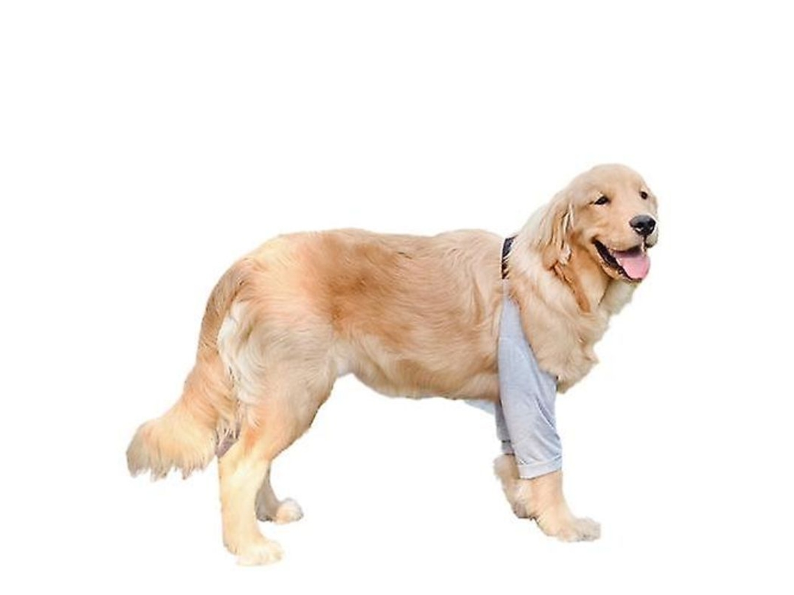 2026 protector de Cotovelo para Cães Médios e Grandes: Joelheiras Anti desgaste, Roupa de Proteção Articular para Mascotas