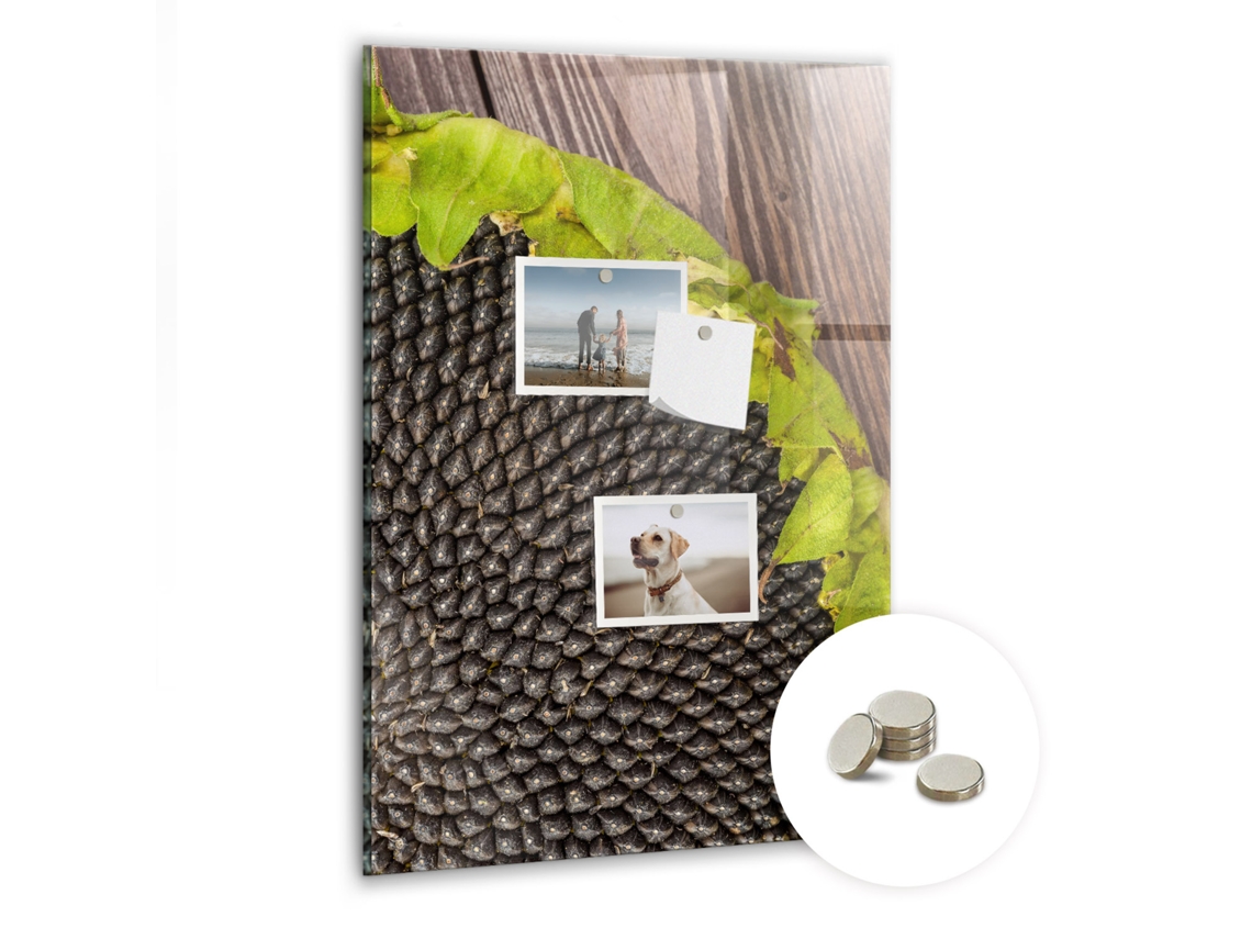 Quadro De Vidro Magnético Sementes De Girassol Para A Sala De Estar Espelharte (40x60 Cm)