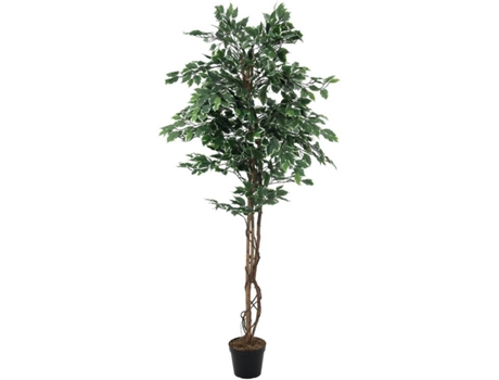 Planta Artificial EUROPALMS Variegated Ficus (Verde - 180 cm)