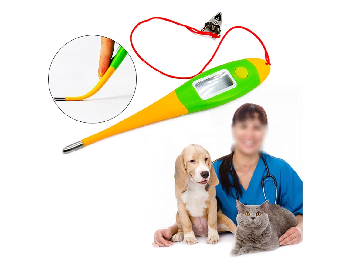 Termômetro Eletrônico Veterinário Para Cão Pet