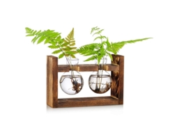 Vaso De Vidrio Para Plantas Com Suporte De Madeira Maceta Terrário Para Propagação De Flores