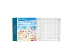 Caixa Magnética Exibição Casca Acrílico