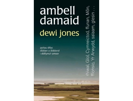 Livro ambell damaid de dewi jones (galês)