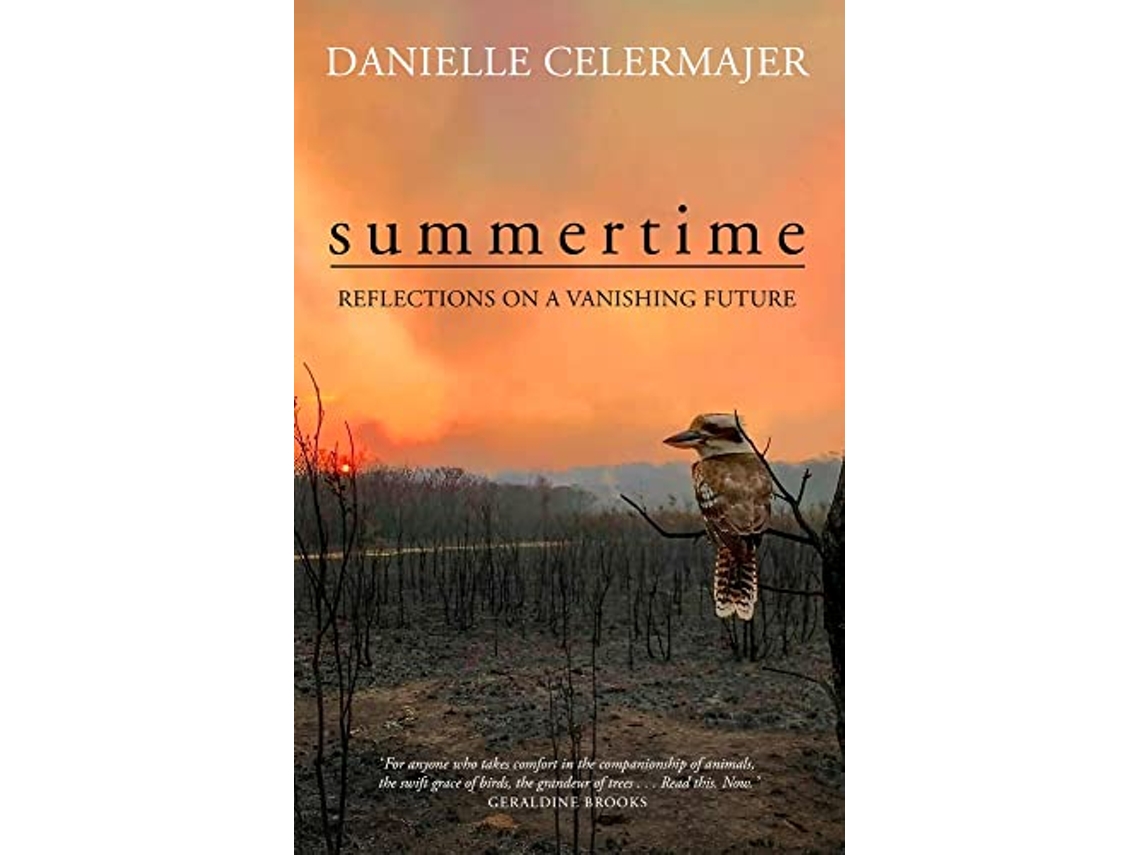 Livro Summertime de Danielle Celermajer (Inglês)
