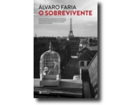 O Sobrevivente