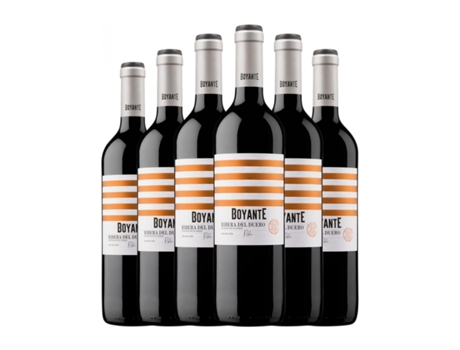 Vinho BOYANTE Ribera del Duero Carvalho (0.75 L - 6 Unidades)