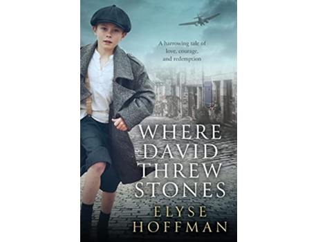 Livro Where David Threw Stones de Elyse Hoffman (Inglês)