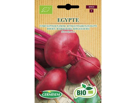 Sementes  Bio Sementes Beterraba Egipto