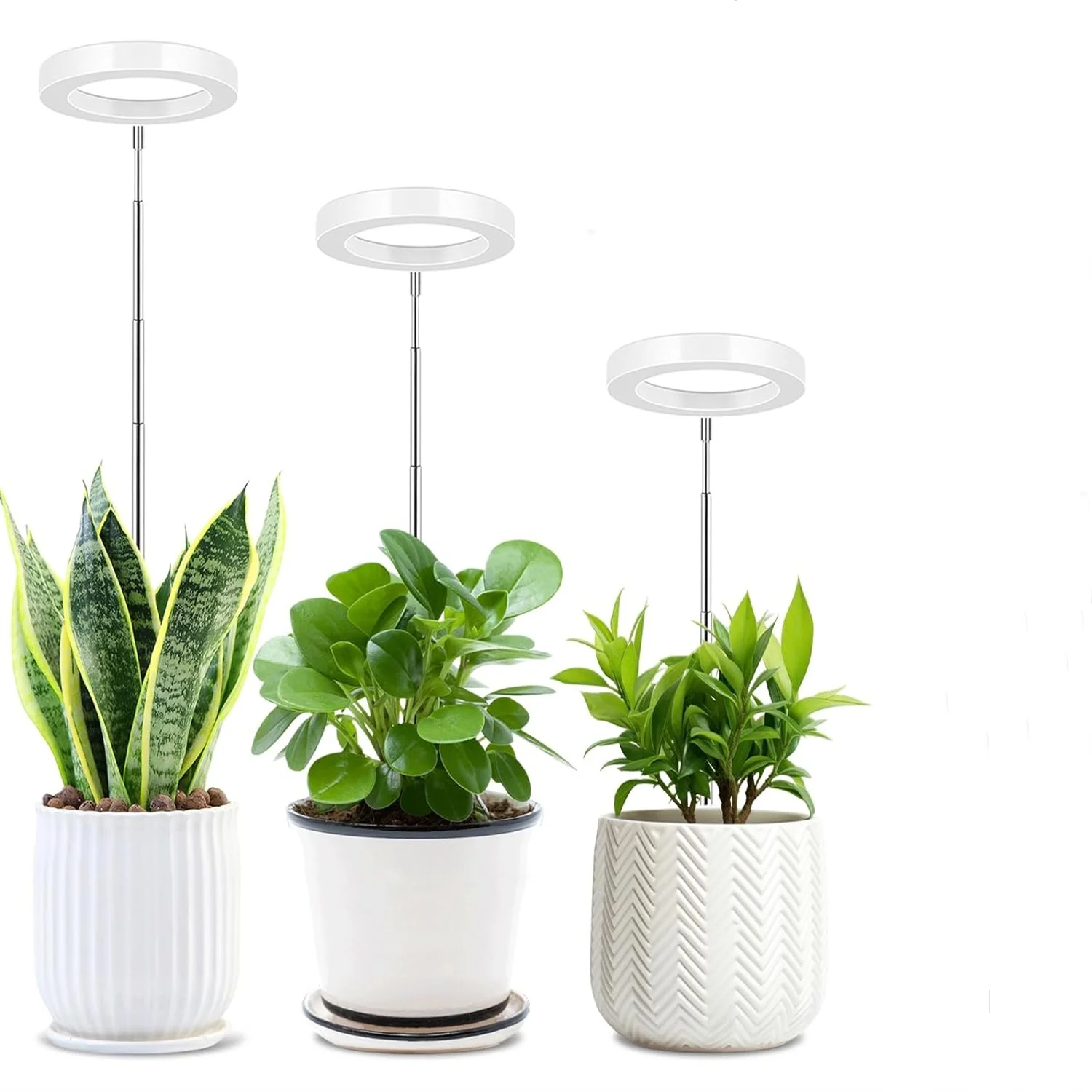 Lâmpada De Cultivo Usb Angel Ring Com Controle Remoto E Espectro Completo. Aquaforge