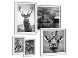 Conjunto De Pinturas Animais Selvagens, Savana Moldura Branca Fotos Para O Escritório Espelharte (conjunto De 5 Imagens)