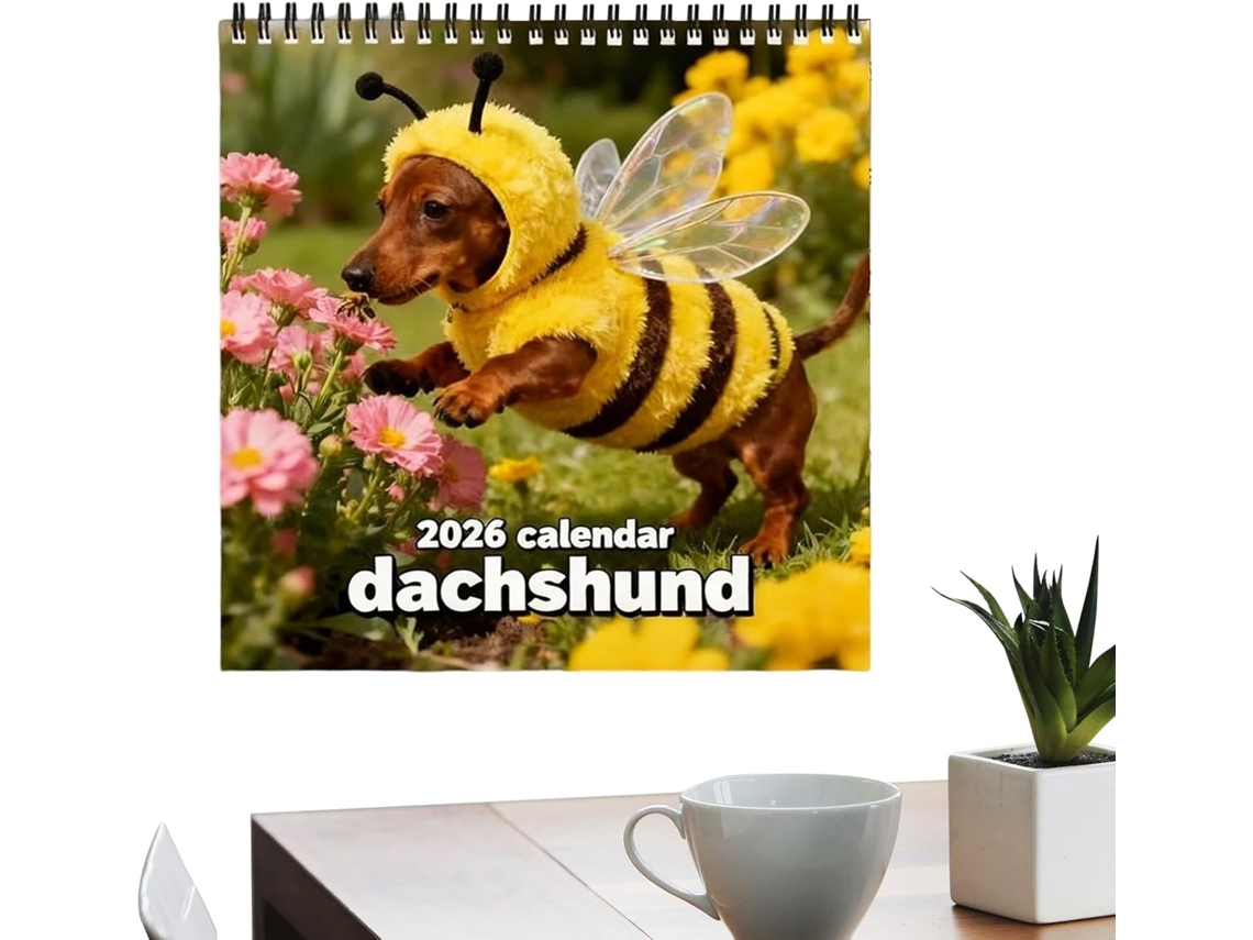 Calendário de Parede 2026 com 12 para e Desenhos Dachshunds, Ideal Estudantes, Professores, Consultores CHABERLU
