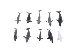 10pcs Adorno De Baleia Plástico Modelo Animal Marinho Decorativo Moderno Presente Casa Escritório