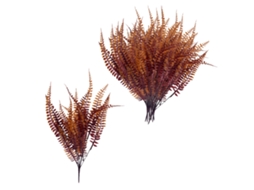 Planta Artificial Boston Fern 12 Pçs LAXISCREED