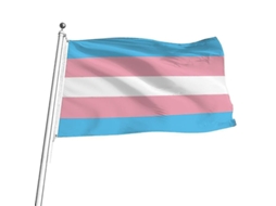 Bandeira Transgênero 90x150cm, Bandeira De Gênero Duplo, Bandeira Pangênero Com 2 Olhos De Latão Para Parede Quarto Exterior Bandera Pangênero