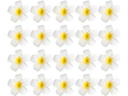 Presilhas De Cabelo Com Flor De Frangipani Branca, 20 Unidades, Em Eva.