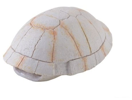 Refúgio Dino Carapace Nano Turtle 